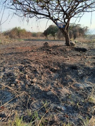 Terreno en Venta KM 77 Via a Puerto Quetzal Quintas la Ponderosa — Terreno en Venta en Quintas La Ponderosa, Escuintla, Escuintla — miniatura 2 de 5