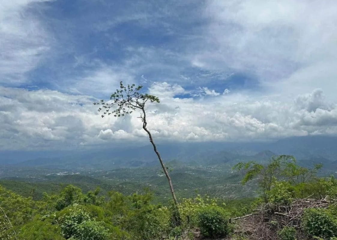 Terreno en VENTA El Progreso Guastatoya — Terreno en Venta en Guastatoya, El Progreso — foto 5 de 5
