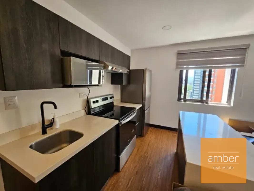 Apartamentos Amueblados Edificio Canamco, Zona 10 — Apartamento en Venta en Zona 10, Guatemala, Ciudad — foto 6 de 10