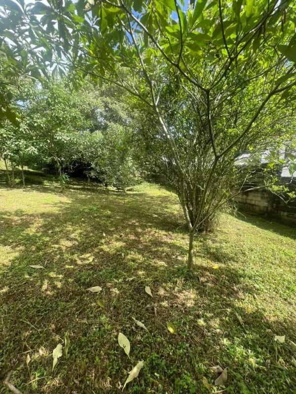 Vendo Terreno en Carretera a el Salvador — Terreno en Venta en Fraijanes, Carretera a El Salvador, Guatemala, Ciudad — foto 6 de 9