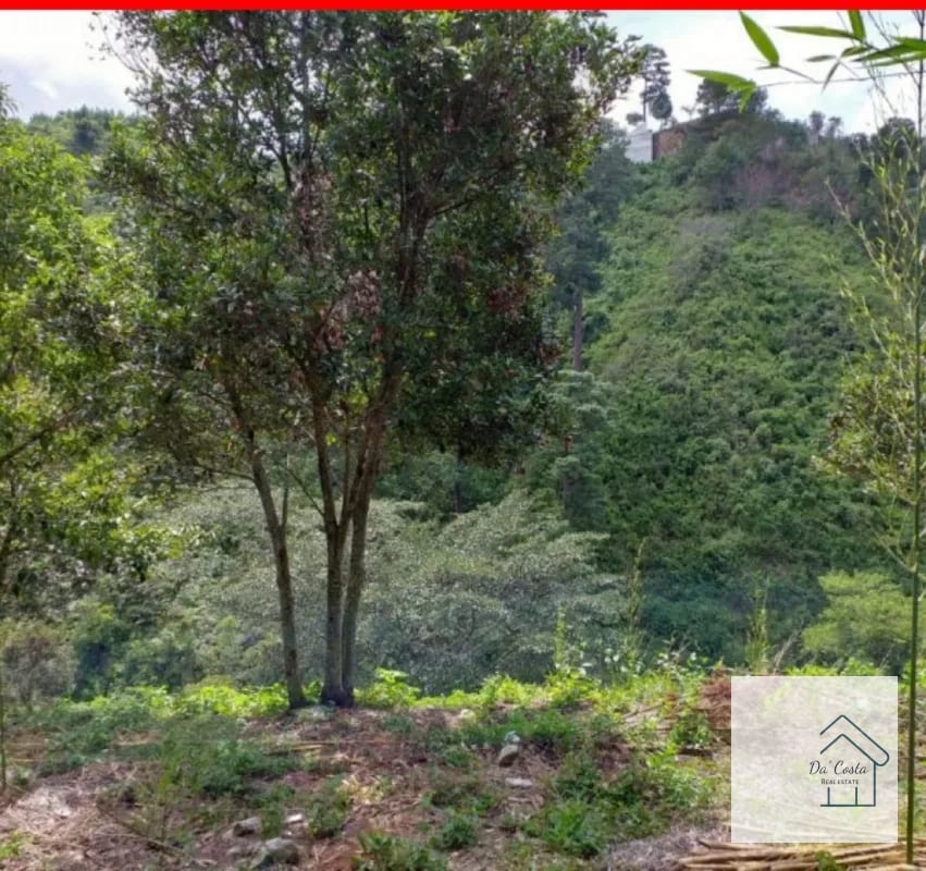 Terreno en Venta Acacias de Cayala — Terreno en Venta en Acacias de Cayalá, Zona 16, Guatemala, Ciudad — foto 4 de 4