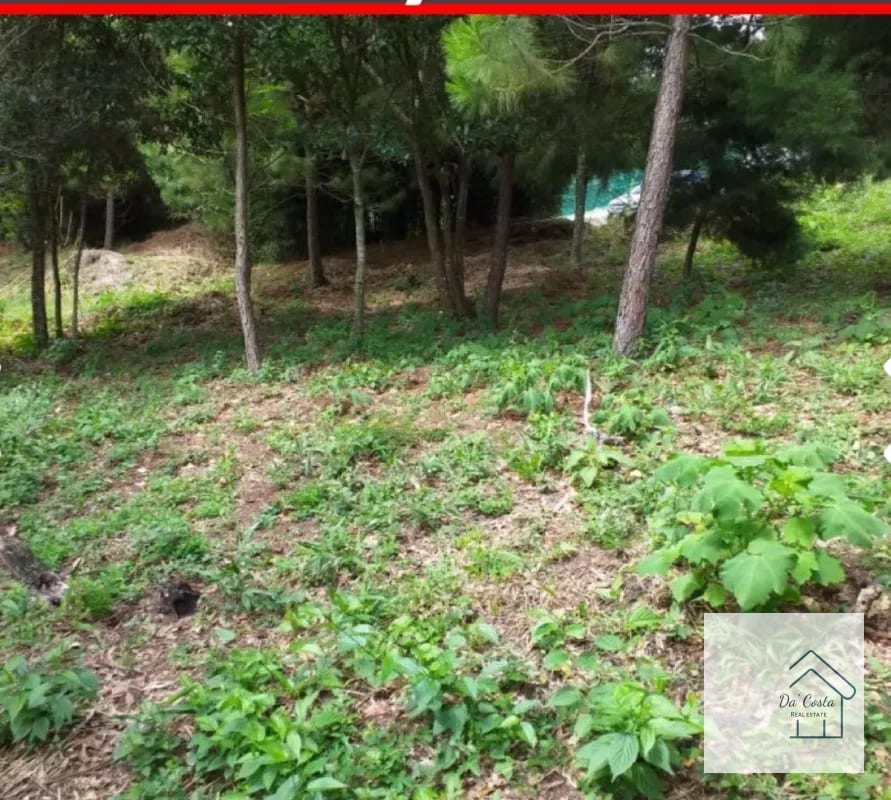 Terreno en Venta Acacias de Cayala — Terreno en Venta en Acacias de Cayalá, Zona 16, Guatemala, Ciudad — foto 3 de 4