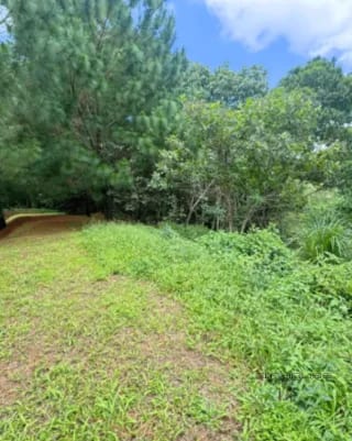 Terreno en Venta ZONA16 en el Pulte Ecuestre — Terreno en Venta en El Pulté Ecuestre, Zona 16, Guatemala, Ciudad — miniatura 11 de 11