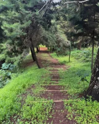 Terreno en Venta ZONA16 en el Pulte Ecuestre — Terreno en Venta en El Pulté Ecuestre, Zona 16, Guatemala, Ciudad — miniatura 6 de 11