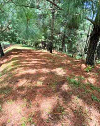 Terreno en Venta en el Pulte Ecuestre ZONA16 — Terreno en Venta en Zona 16, Guatemala, Ciudad — miniatura 2 de 11