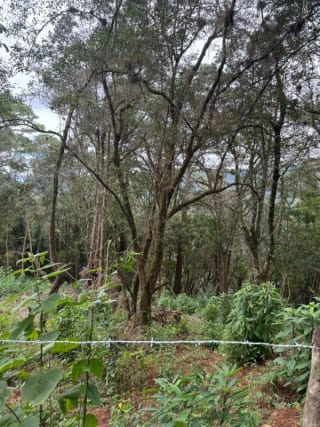 Terreno en Venta - Tronco 10 El Encinal, zona 7 Mixco — Terreno en Venta en El Encinal, Zona 7 Mixco, Guatemala, Ciudad — miniatura 3 de 6