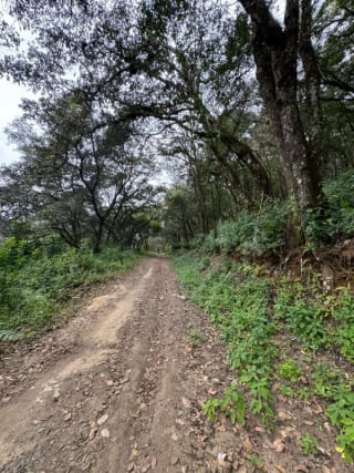 Terreno en Venta - Tronco 10 El Encinal, zona 7 Mixco — Terreno en Venta en El Encinal, Zona 7 Mixco, Guatemala, Ciudad — miniatura 2 de 6