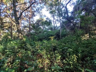 Terreno en venta en San Lucas Sacatepéquez, en Km 25 a 100 metros de ruta principal. Ideal para proyecto ecológico. — Terreno en Venta en San Lucas Sacatepéquez, Sacatepéquez — miniatura 3 de 7