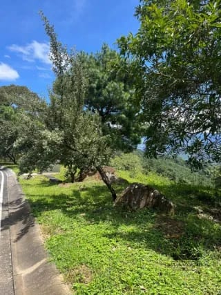 Terreno en Venta en el Pulte — Terreno en Venta en Zona 16, Guatemala, Ciudad — miniatura 2 de 2