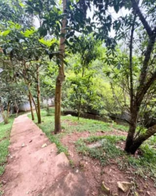Apartamento en Venta Zona 16 Bosques de Euskadi — Apartamento en Venta en Zona 16, Guatemala, Ciudad — miniatura 13 de 16