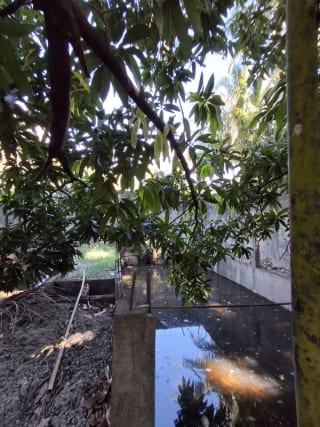 Granja en Venta- El Edén Guanagazapa, Escuintla — Casa en Venta en Guanagazapa, Escuintla — miniatura 5 de 10
