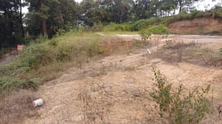 Terreno en Km 37 Carretera a San Raymundo — Terreno en Venta en San Raimundo, Guatemala, Ciudad — miniatura 3 de 3