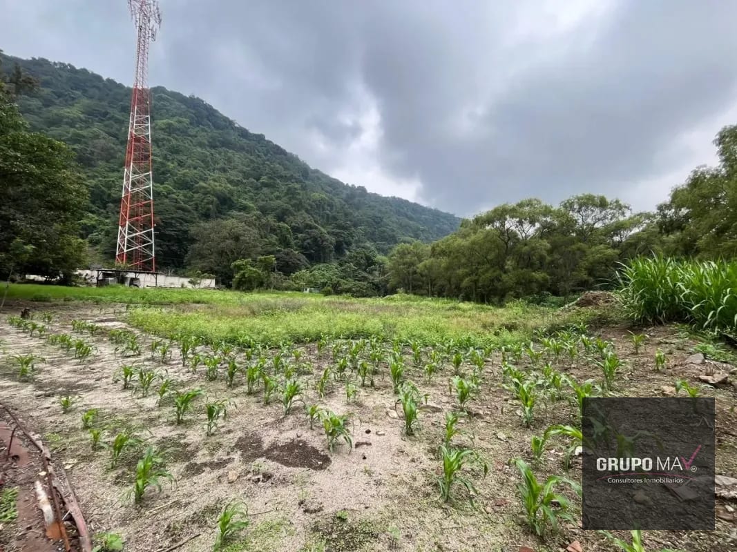 Terreno Los Sauces Km.37 Palín Escuintla — Terreno en Venta en Escuintla, Escuintla — foto 1 de 6