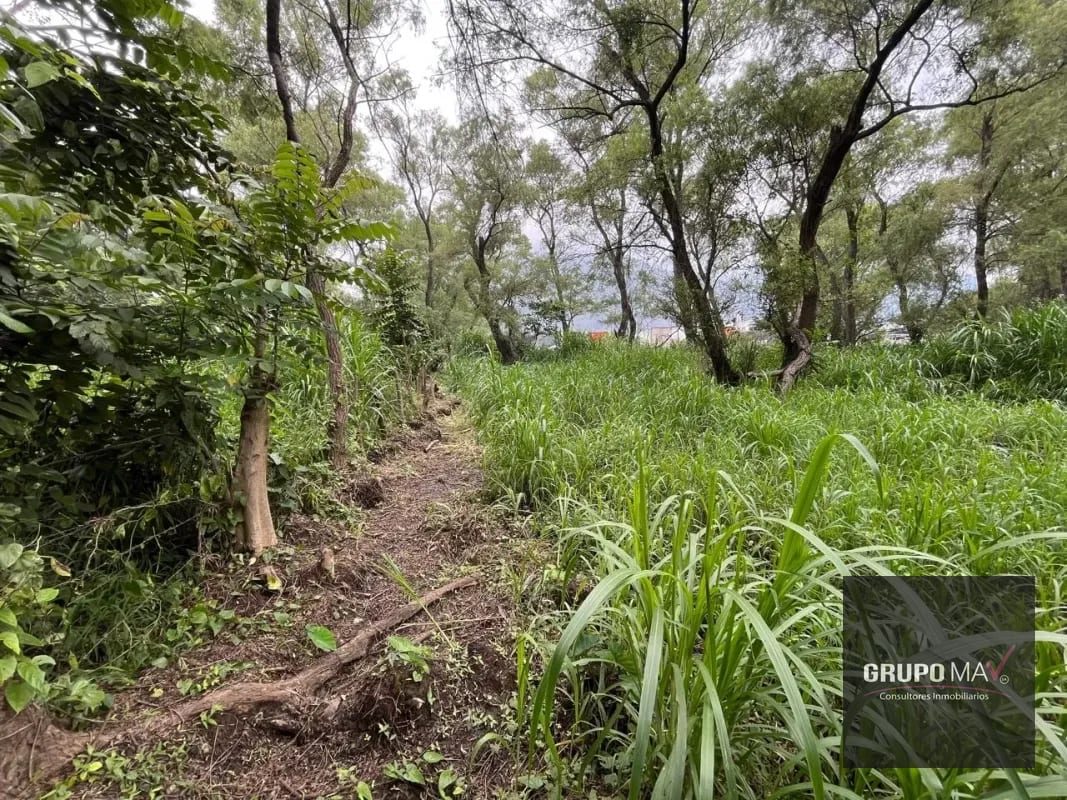 Terreno Los Sauces Km.37 Palín Escuintla — Terreno en Venta en Escuintla, Escuintla — foto 3 de 6