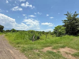 Terreno en Guanagazapa, Km 84 Escuintla — Terreno en Venta en Guanagazapa, Escuintla — miniatura 4 de 4