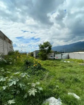 Terreno en Venta Villa Nueva KM 22 — Terreno en Venta en Villa Nueva, Guatemala, Ciudad — miniatura 5 de 6