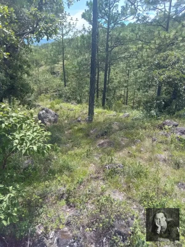 Terreno en Venta – Huehuetenango (piedras Negras) — Terreno en Venta en Huehuetenango, Huehuetenango — foto 5 de 5