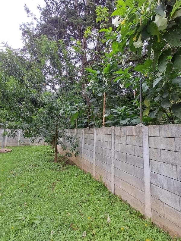 Terreno en venta San Lucas Sacatepequez — Terreno en Venta en Santiago Sacatepéquez, Sacatepéquez — foto 9 de 13