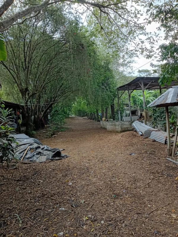 FINCA en Venta - KM76 CAES — Finca en Venta en Carretera a El Salvador, Guatemala, Ciudad — foto 1 de 2