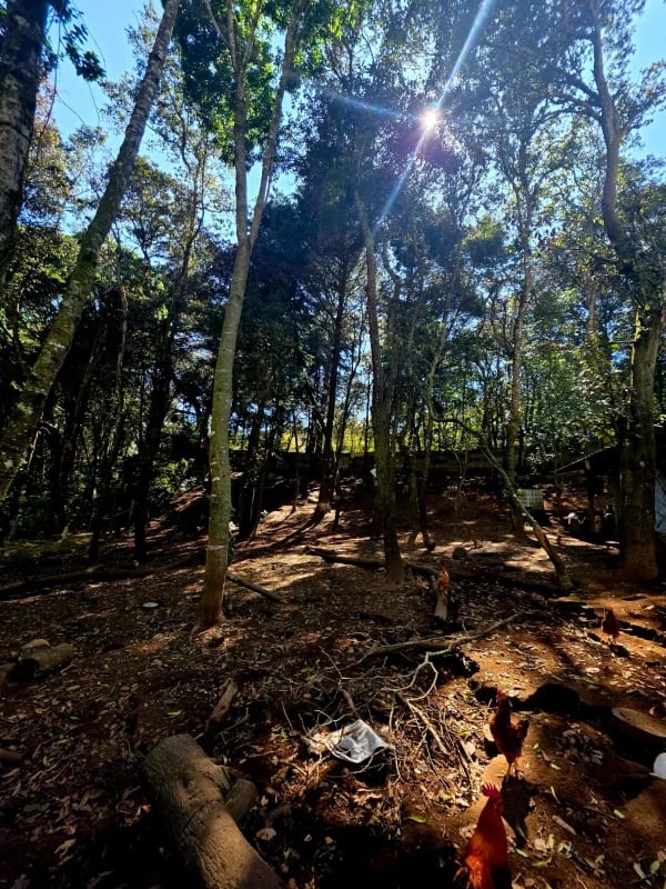 Terreno en Venta San Lucas Sacatepéquez — Terreno en Venta en San Lucas Sacatepéquez, Sacatepéquez — foto 6 de 6