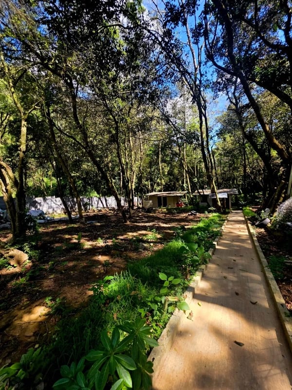 Terreno en Venta San Lucas Sacatepéquez — Terreno en Venta en San Lucas Sacatepéquez, Sacatepéquez — foto 4 de 6