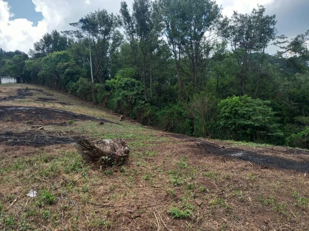 Terreno en venta - Km 30.2 Carretera a Fraijanes — Terreno en Venta en Fraijanes, Carretera a El Salvador, Guatemala, Ciudad — foto 8 de 9