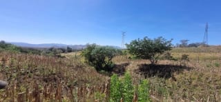 Terreno en Venta en el Jocotillo Calle Santa Rosita — Terreno en Venta en Santa Elena Barillas, Guatemala, Ciudad — miniatura 3 de 15
