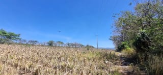Terreno en Venta en el Jocotillo Santa Elena Barillas — Terreno en Venta en Santa Elena Barillas, Guatemala, Ciudad — miniatura 1 de 8