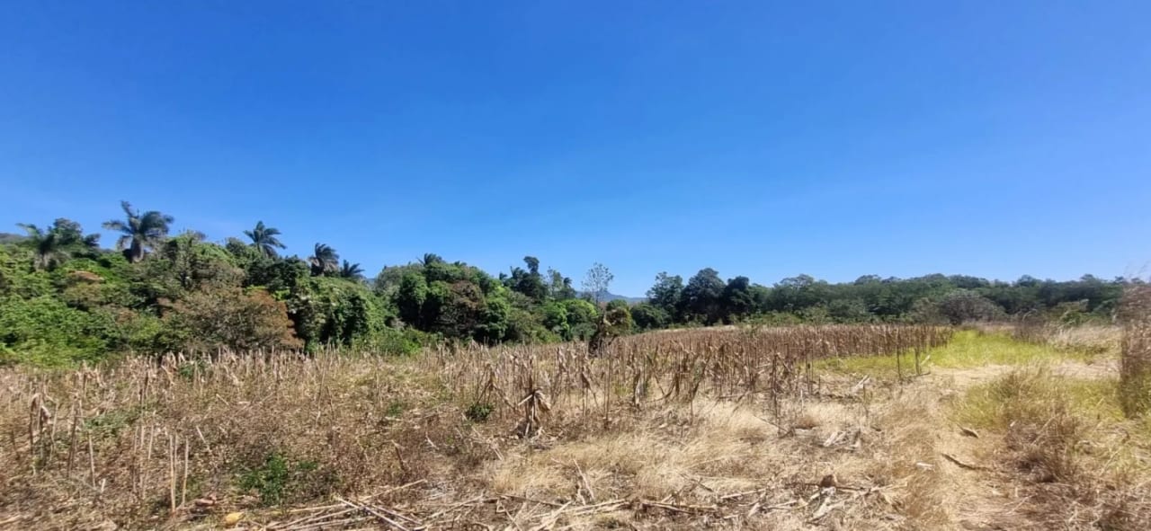 Terreno en Venta en el Jocotillo Santa Elena Barillas — Terreno en Venta en Santa Elena Barillas, Guatemala, Ciudad — foto 3 de 8