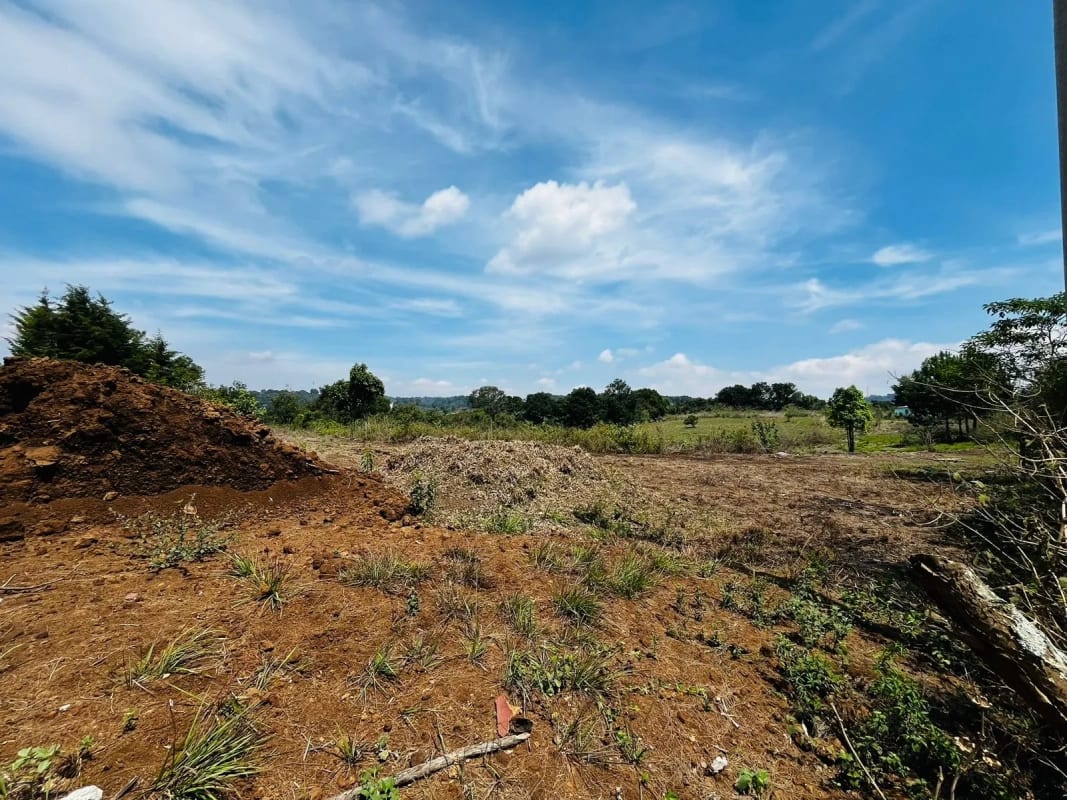 Alquilo Terreno en Lo de Diéguez 10,000 Varas Semi Planas — Terreno en Alquiler en Carretera a El Salvador, Guatemala, Ciudad — foto 1 de 5
