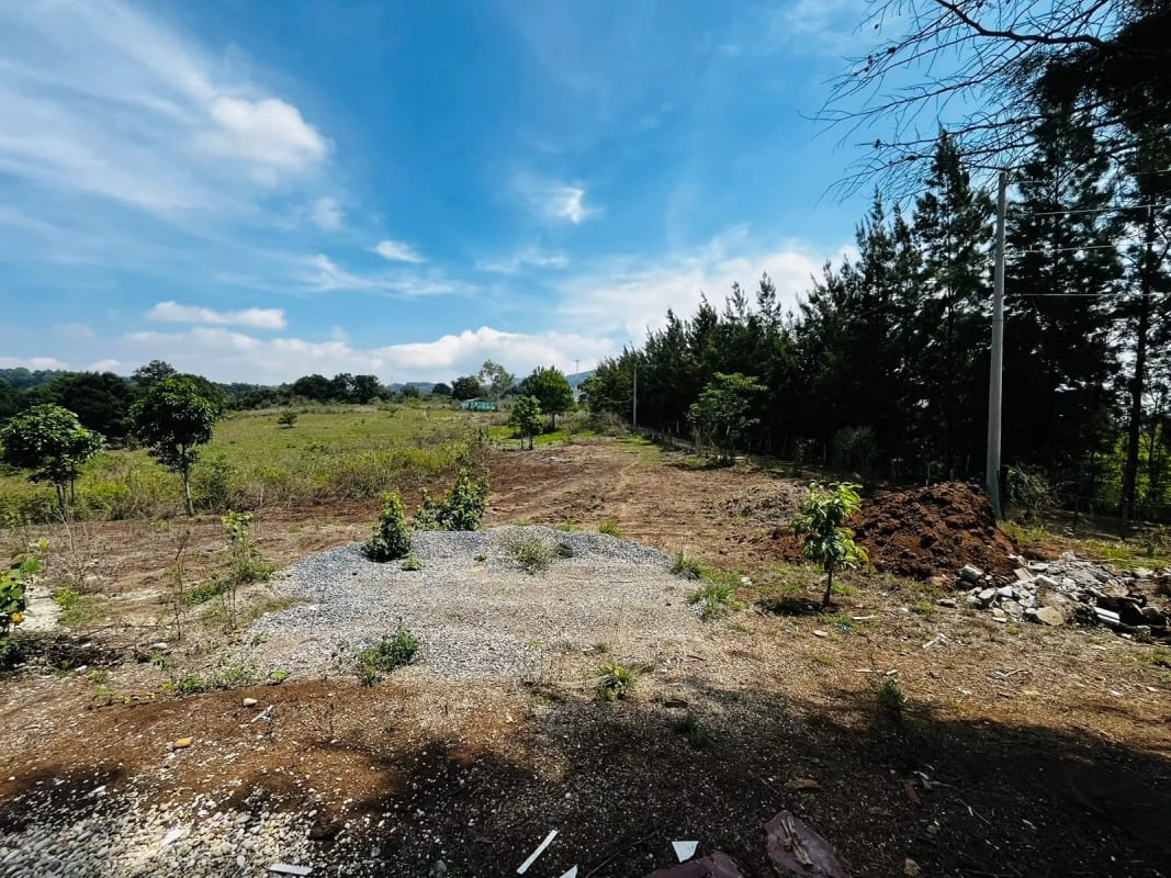 Alquilo Terreno en Lo de Diéguez 10,000 Varas Semi Planas — Terreno en Alquiler en Carretera a El Salvador, Guatemala, Ciudad — foto 4 de 5