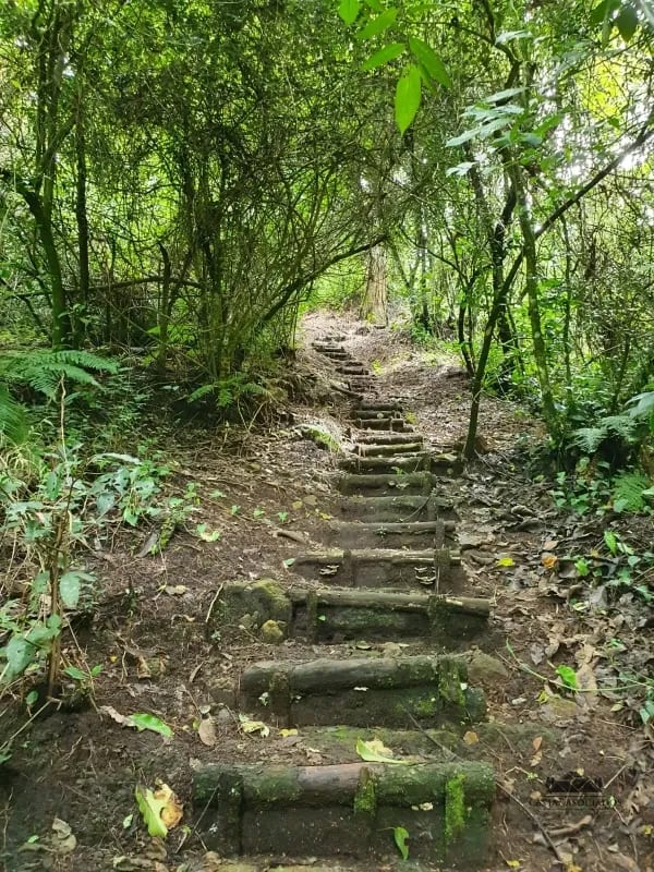 Casa en Renta Antaria — Casa en Alquiler en Santa Catarina Pinula, Guatemala, Ciudad — foto 4 de 15