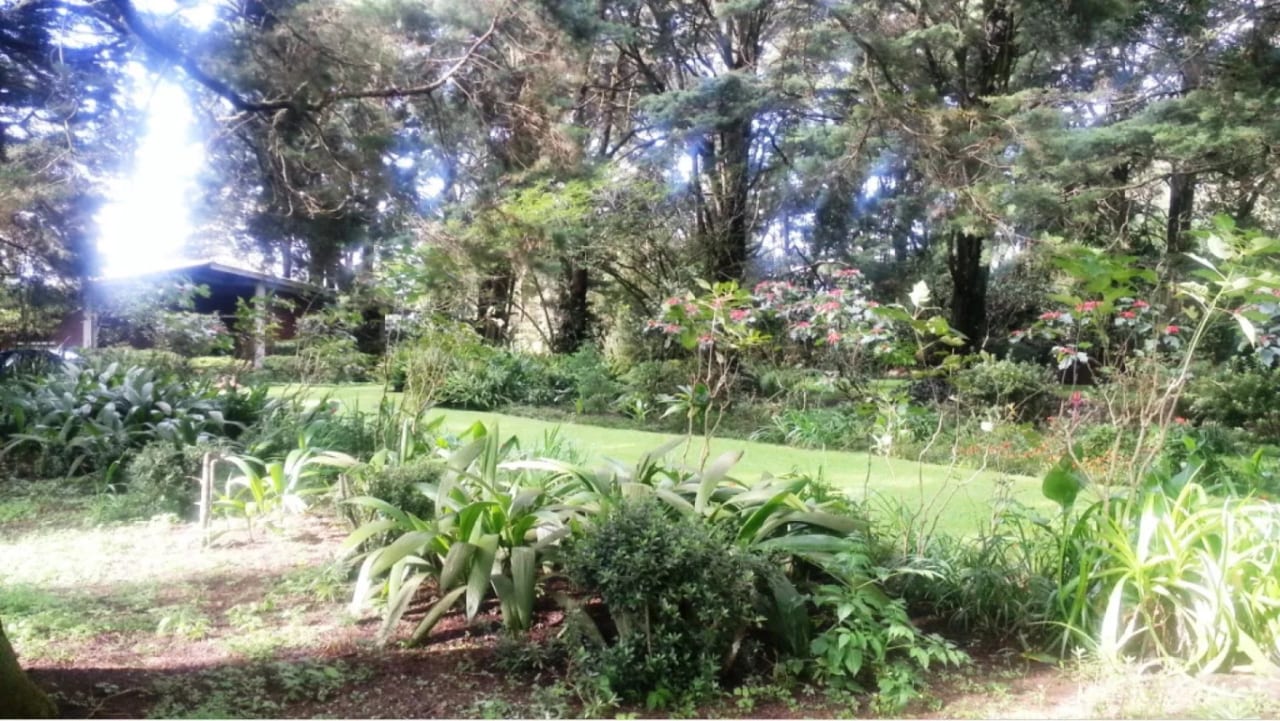 Hermosa propiedad en Santa Elena Barillas — Terreno en Venta en Santa Elena Barillas, Guatemala, Ciudad — foto 8 de 8