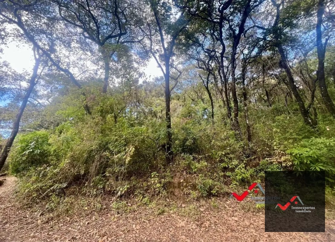 Terreno en Venta Labor de Castilla II, Zona 9 de Mixco — Terreno en Venta en Zona 9, Guatemala, Ciudad — foto 1 de 5