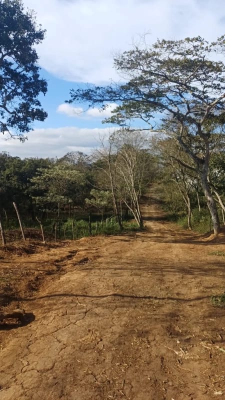 Terreno en Venta, sector 5 de Hacienda Real zona 16 — Terreno en Venta en Hacienda Real, Zona 16, Guatemala, Ciudad — foto 2 de 2