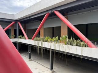 Local Disponible en Centro Comercial Nuevo en Chiquimula — Local en Alquiler en Chiquimula, Chiquimula — miniatura 11 de 12
