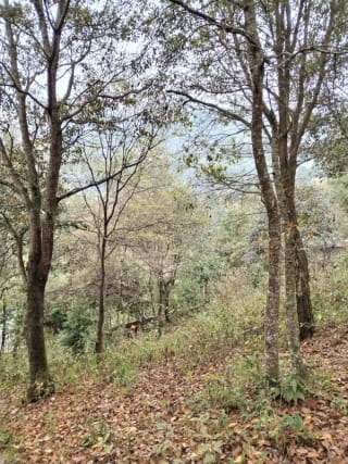 Terreno en Venta en Santa Lucia Milpas Altas — Terreno en Venta en Santa Lucía Milpas Altas, Sacatepéquez — miniatura 2 de 2