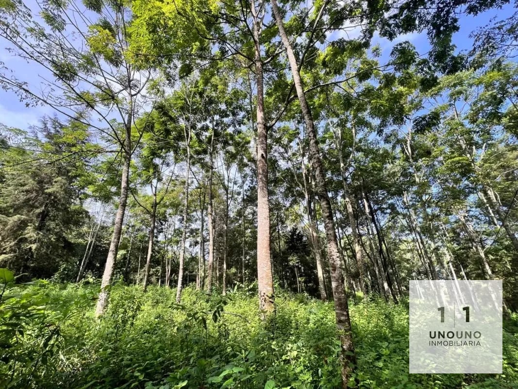 Propiedad en venta en Villa Canales — Terreno en Venta en Villa Canales, Guatemala, Ciudad — foto 1 de 5