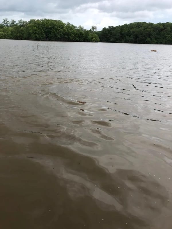 Playa el Jiote Moyuta Jutiapa Hermosa Propiedad en Venta, Terreno y Rancho — Terreno en Venta en Moyuta, Jutiapa — foto 11 de 12