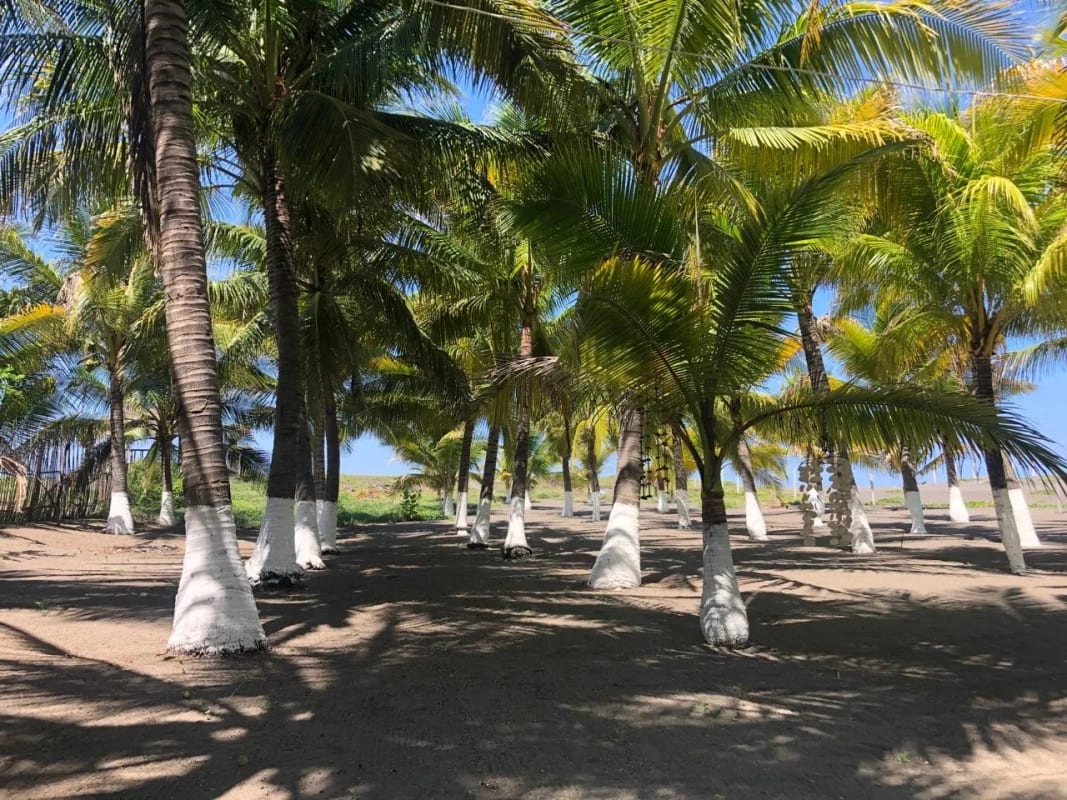 Playa el Jiote Moyuta Jutiapa Hermosa Propiedad en Venta, Terreno y Rancho — Terreno en Venta en Moyuta, Jutiapa — foto 8 de 12