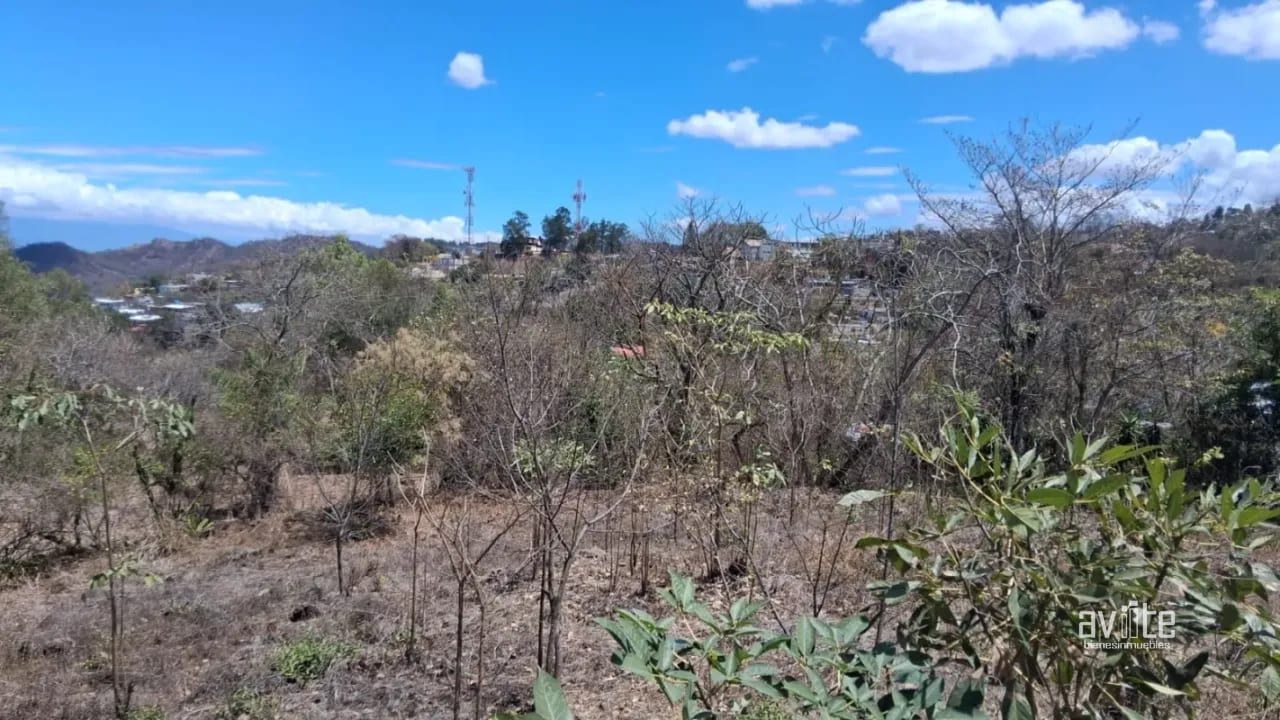 Terreno de 1,510 metros en San Antonio La Paz, El Progreso Q550,000 — Terreno en Venta en San Antonio La Paz, El Progreso — foto 4 de 7