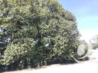 Vendo Terreno Condominio Sausalito, Fraijanes. — Terreno en Venta en Sausalito, Carretera a El Salvador, Guatemala, Ciudad — miniatura 8 de 16