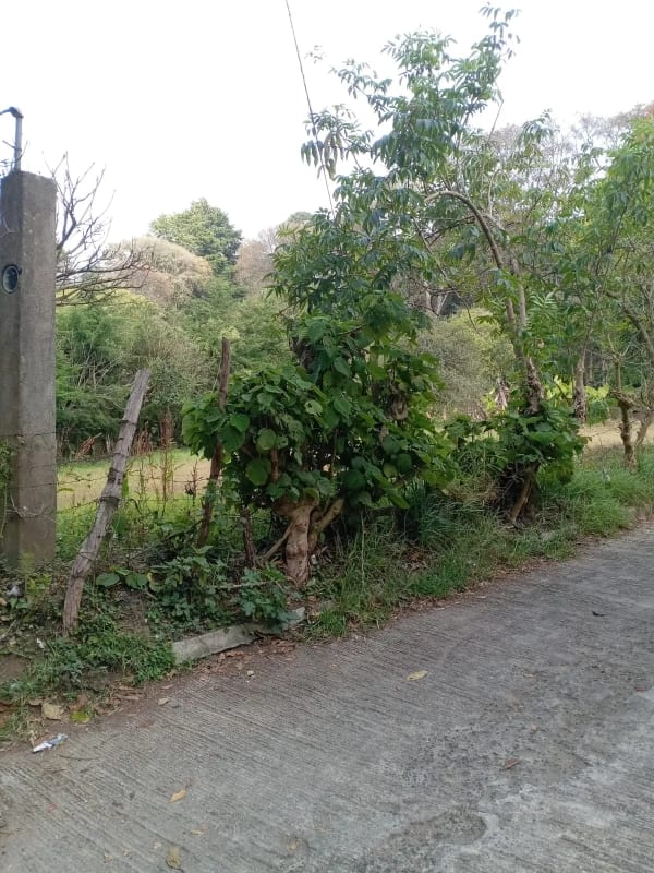 TERRENO en Venta (2) - El Manzanillo, Mixco zona 1 — Terreno en Venta en Zona 1 Mixco, Guatemala, Ciudad — foto 8 de 9