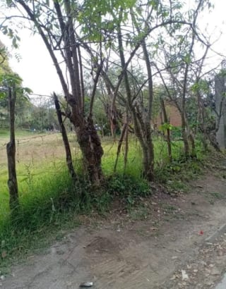 TERRENO en Venta (2) - El Manzanillo, Mixco zona 1 — Terreno en Venta en Zona 1 Mixco, Guatemala, Ciudad — miniatura 6 de 9