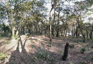 Terreno en Venta en El Encinal Zona 7 Mixco — Terreno en Venta en Zona 7 Mixco, Guatemala, Ciudad — miniatura 12 de 13