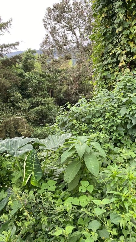 Venta de Terreno en La Montaña, zona 16 — Terreno en Venta en La Montaña, Zona 16, Guatemala, Ciudad — foto 3 de 5