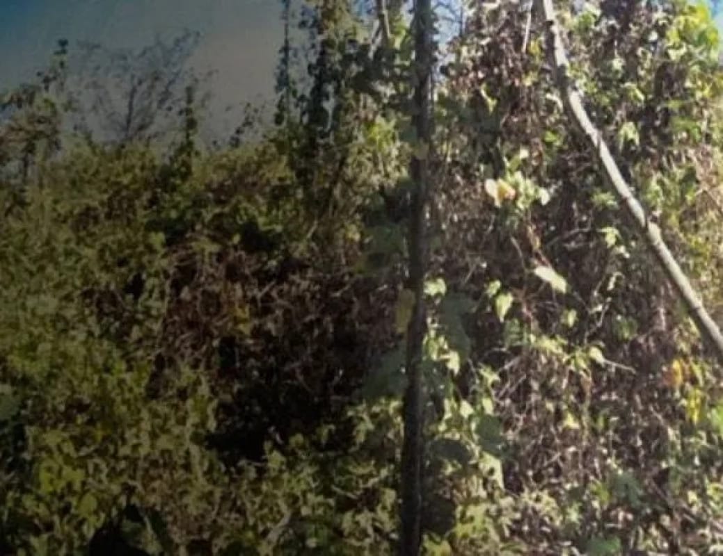 Vendo Terreno en Casa y Campo Carretera a el Salvador — Terreno en Venta en Carretera a El Salvador, Guatemala, Ciudad — foto 3 de 4