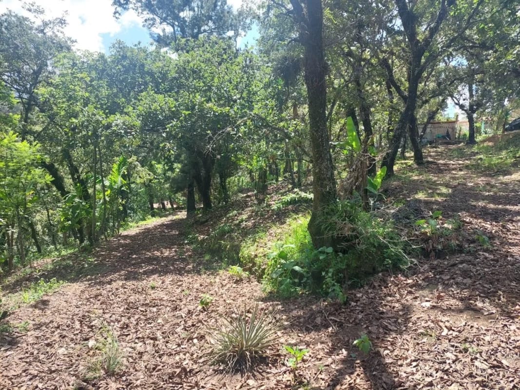 TERRENO en Venta- Alamedas de Yumar, zona 6 mixco — Terreno en Venta en Zona 6 Mixco, Guatemala, Ciudad — foto 4 de 13