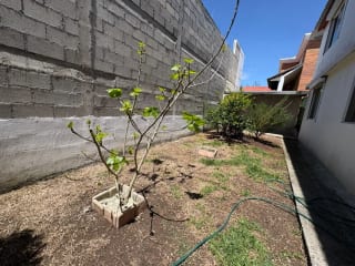 Propiedad en Venta km 19.5 CES atrás de Pricesmart — Casa en Venta en Carretera a El Salvador, Guatemala, Ciudad — miniatura 2 de 16