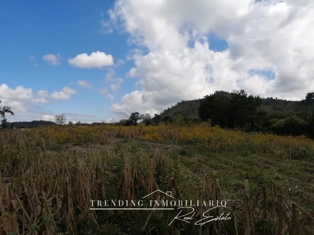 Terreno en venta zona 18 sector Las Tapias con 96 manzanas de extensión — Terreno en Venta en Zona 18, Guatemala, Ciudad — foto 5 de 6
